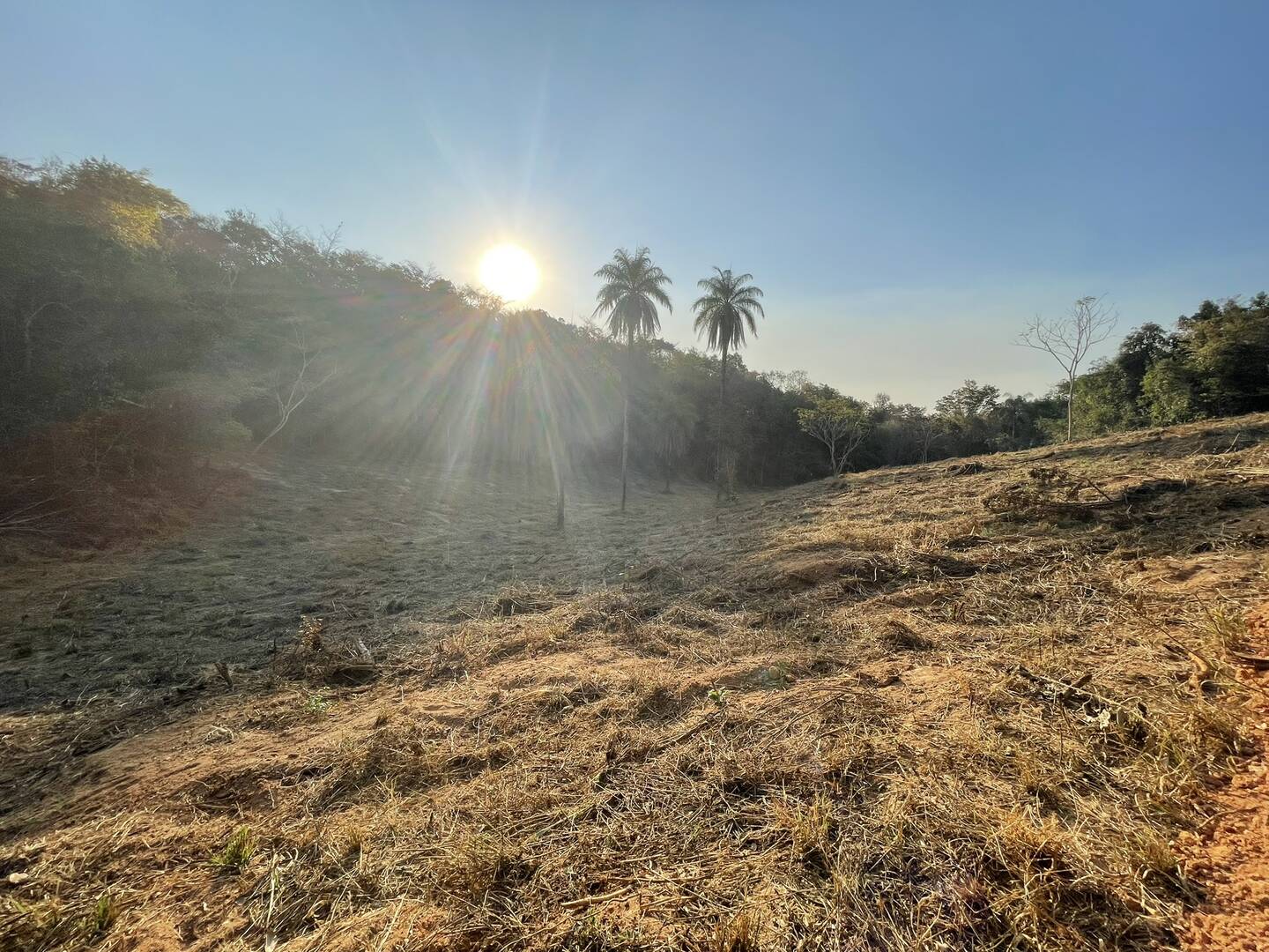#38 - Chácara para Venda em Florestal - MG