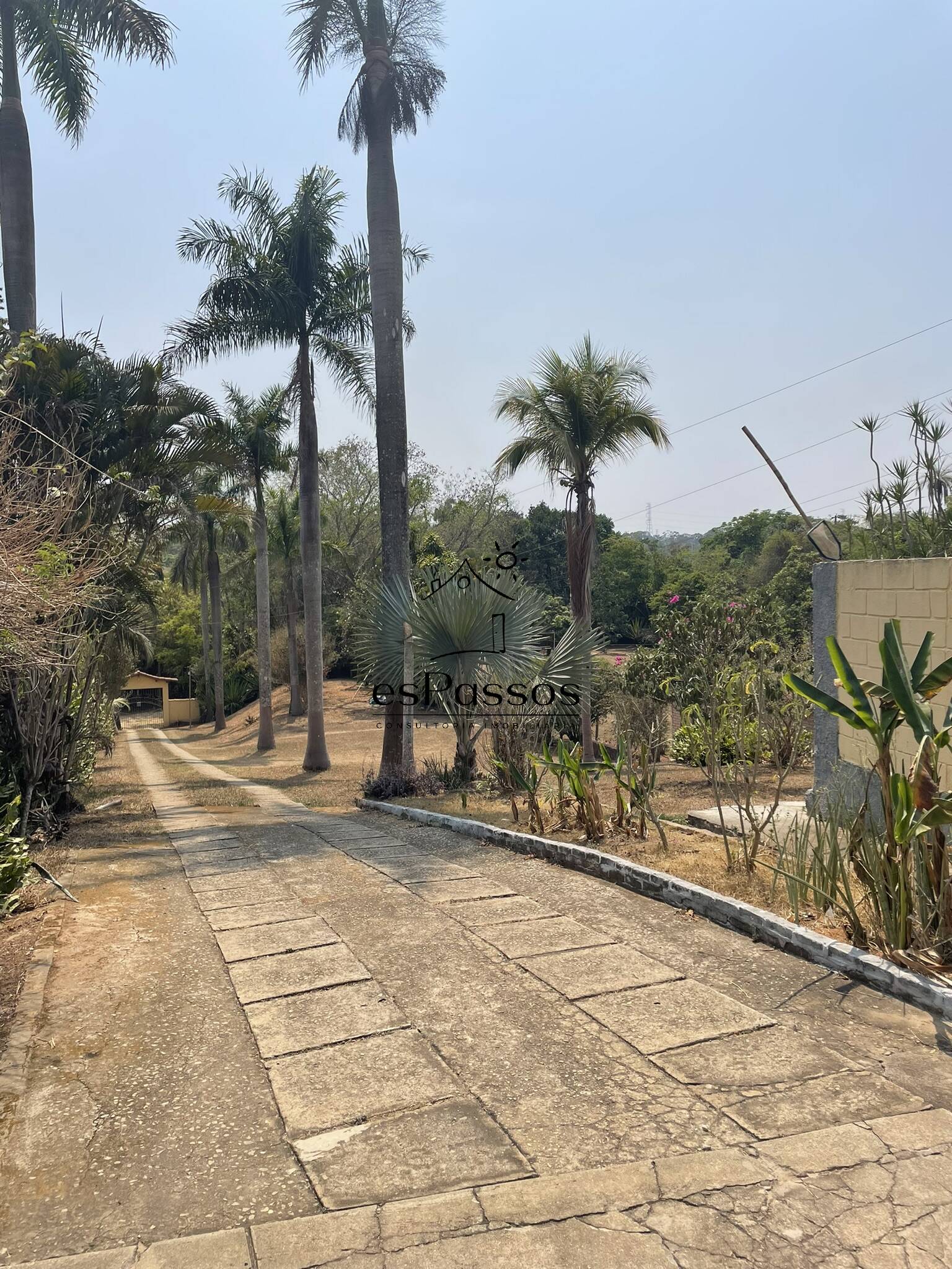 Terreno, 2 hectares - Foto 2