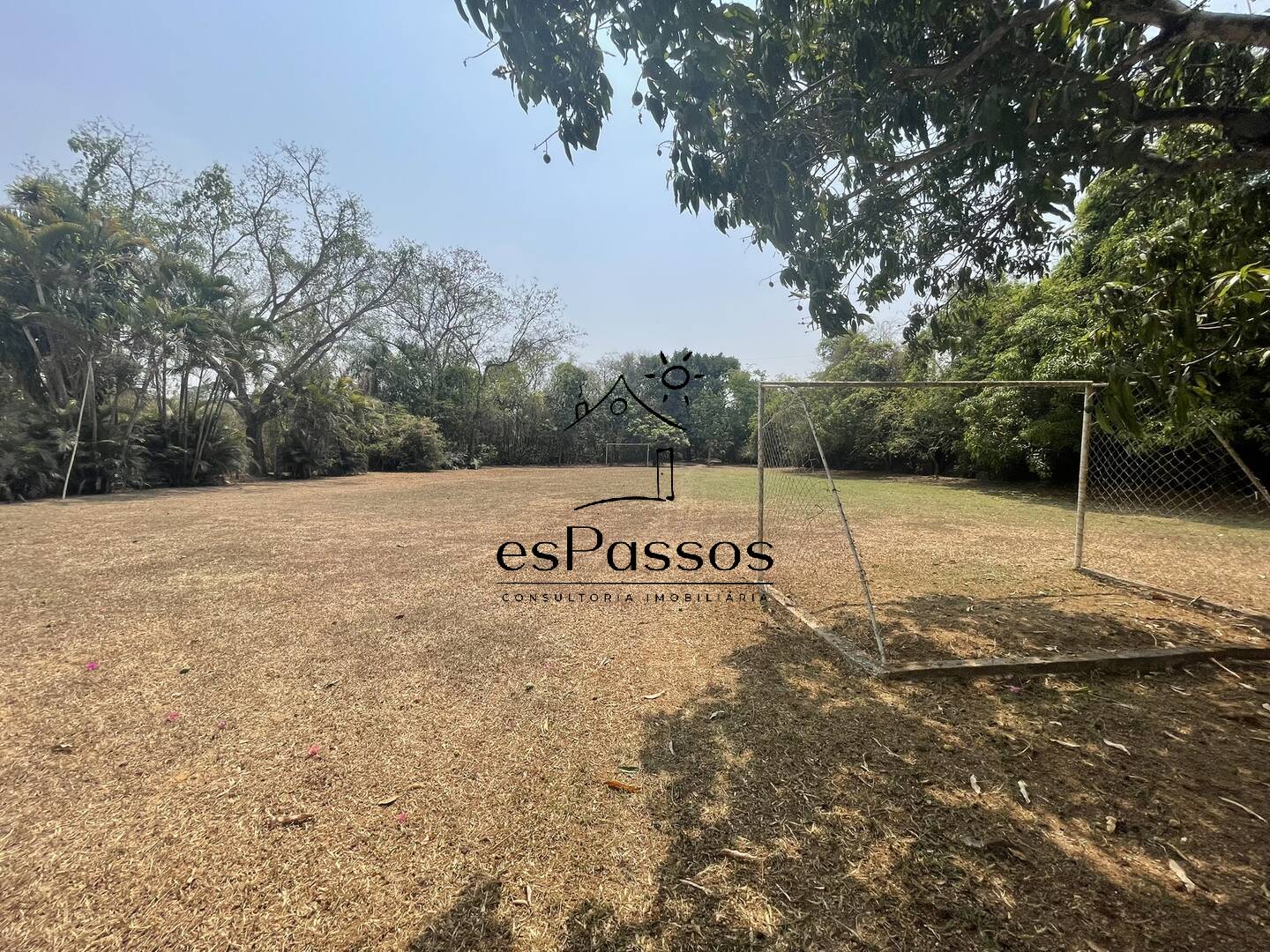 Terreno, 2 hectares - Foto 6