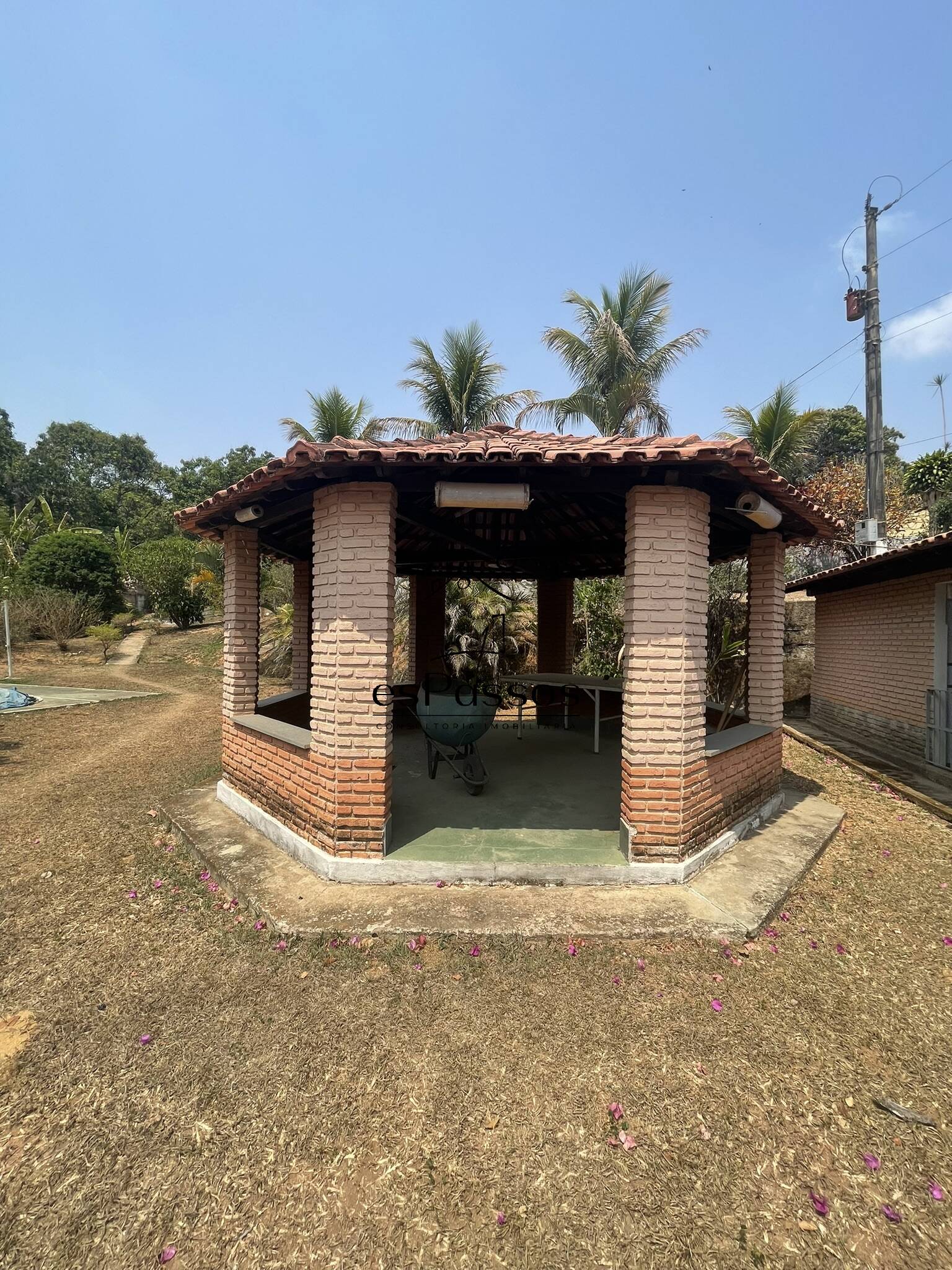 Terreno, 2 hectares - Foto 7