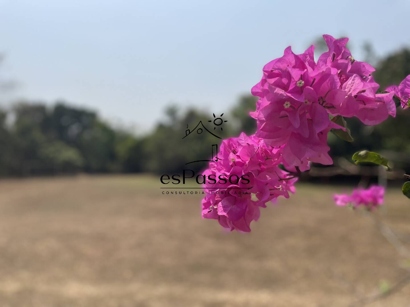 Terreno, 2 hectares - Foto 12