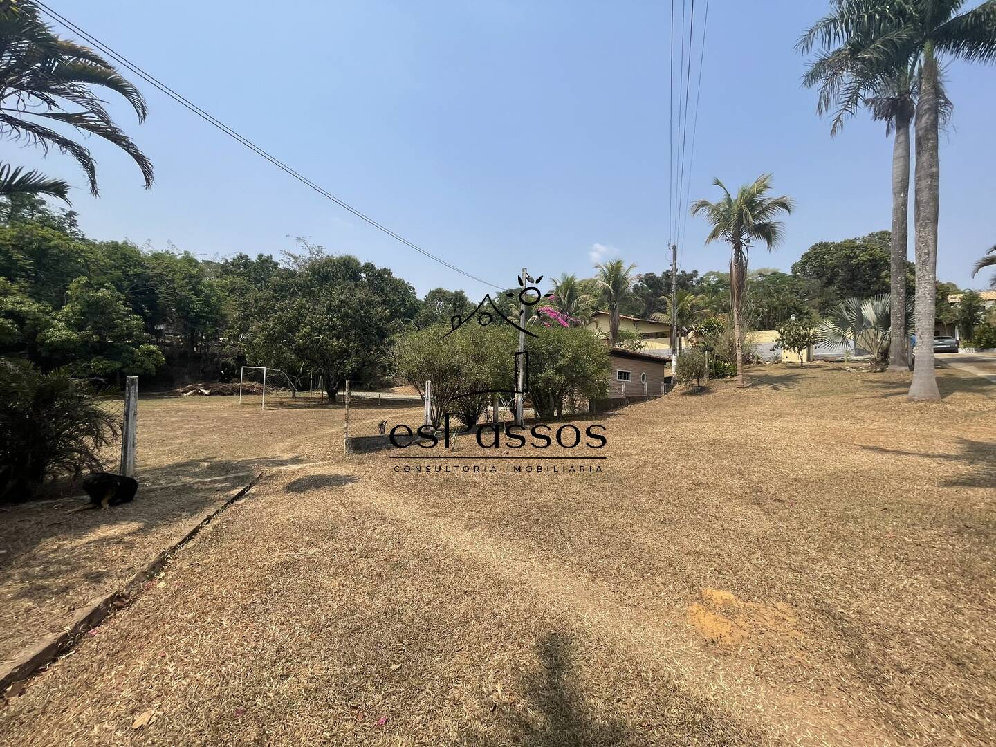 Terreno, 2 hectares - Foto 13