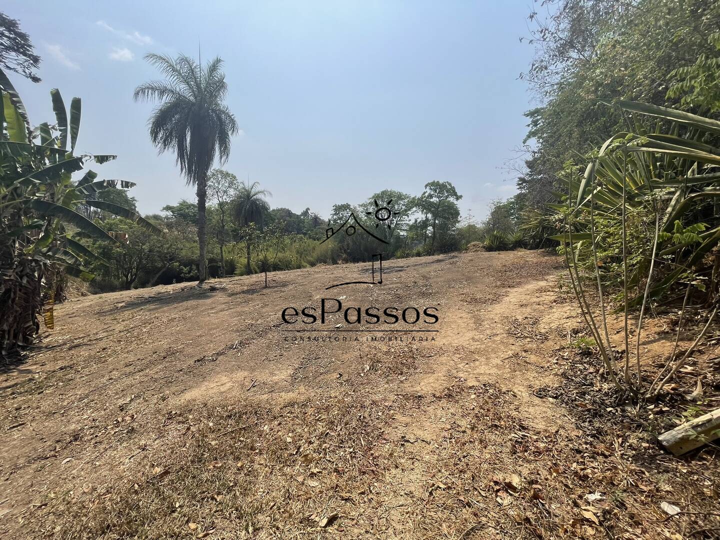 Terreno, 2 hectares - Foto 15