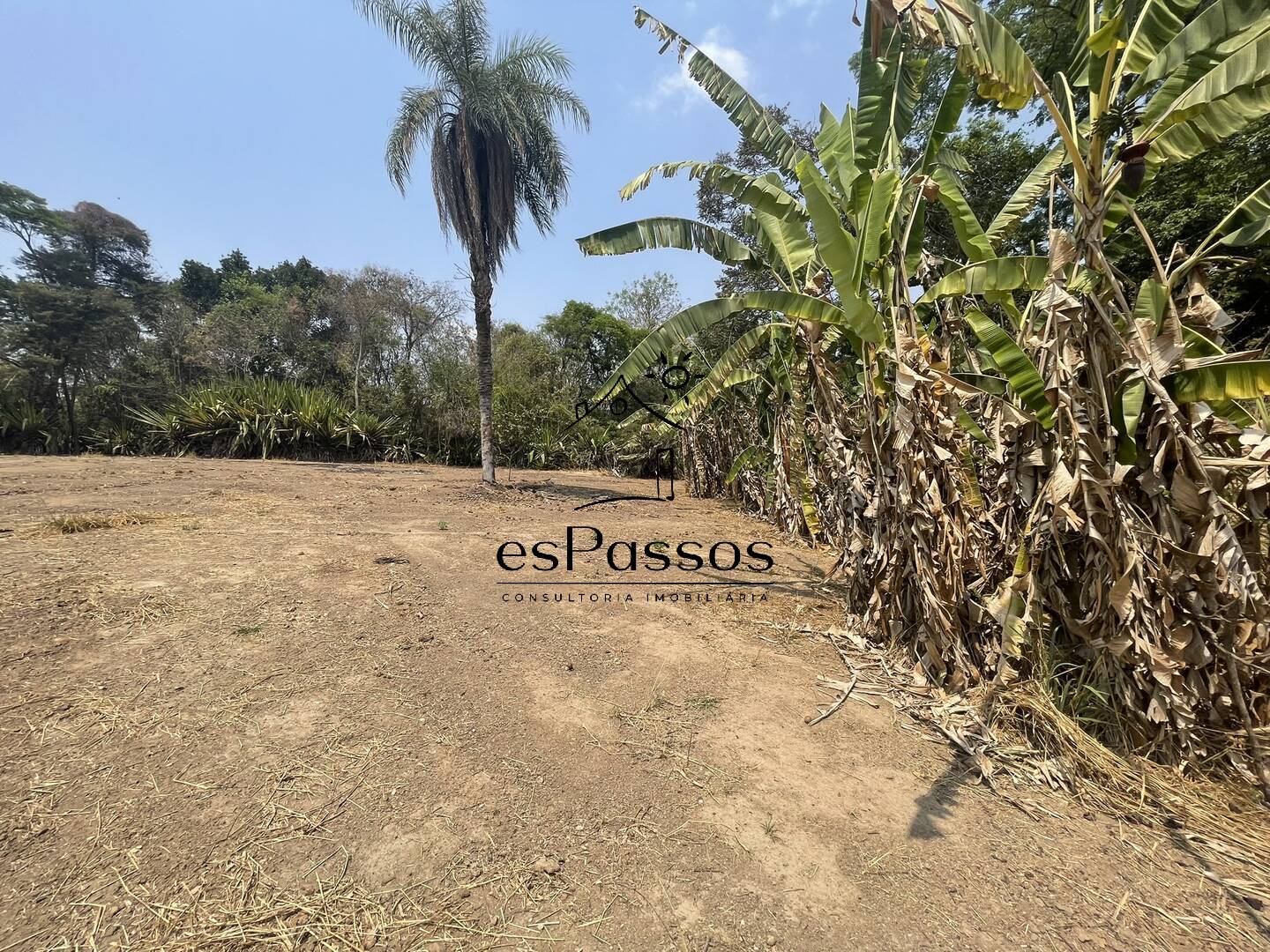 Terreno, 2 hectares - Foto 17