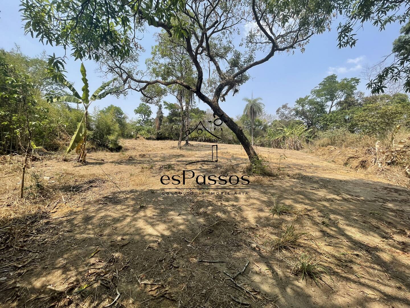 Terreno, 2 hectares - Foto 18