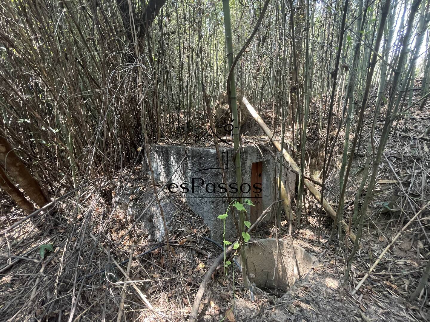 Terreno, 2 hectares - Foto 19