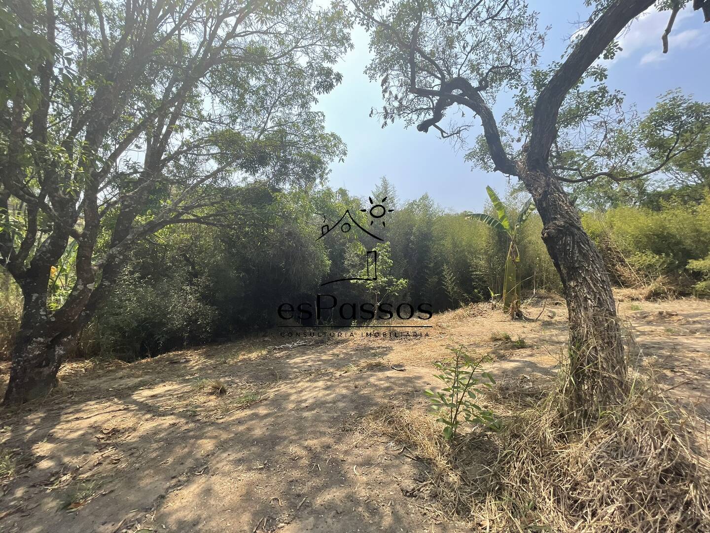 Terreno, 2 hectares - Foto 20