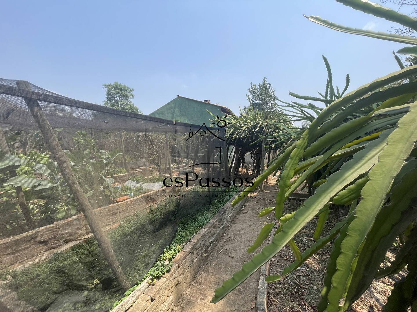 Terreno, 2 hectares - Foto 24