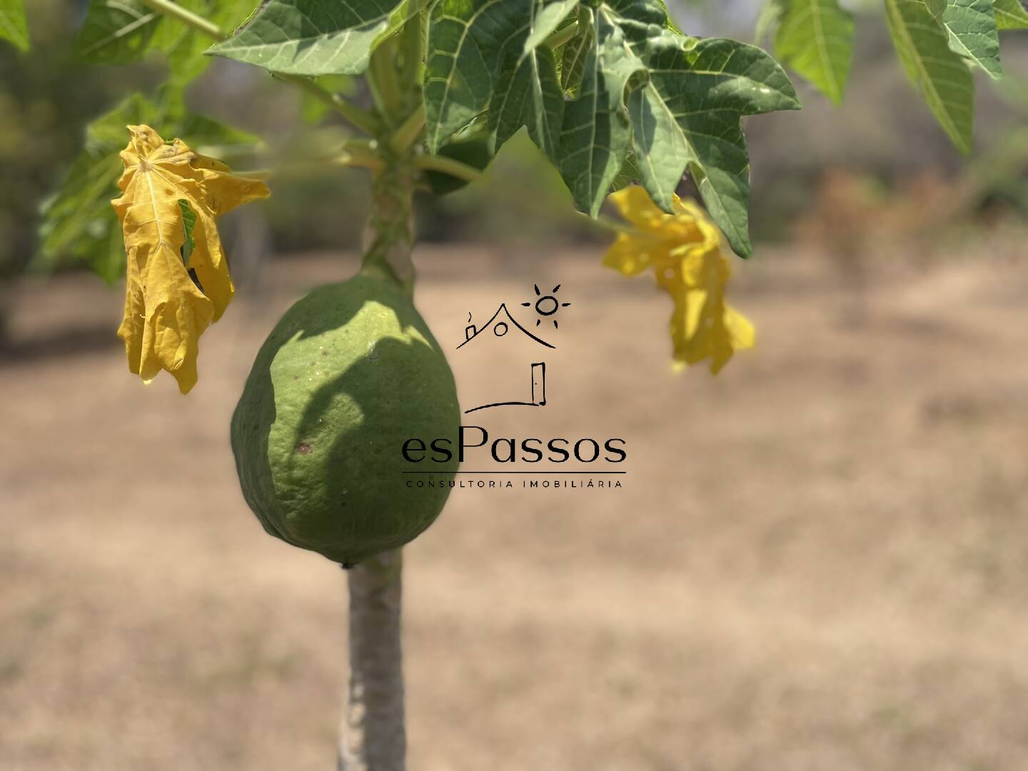 Terreno, 2 hectares - Foto 26