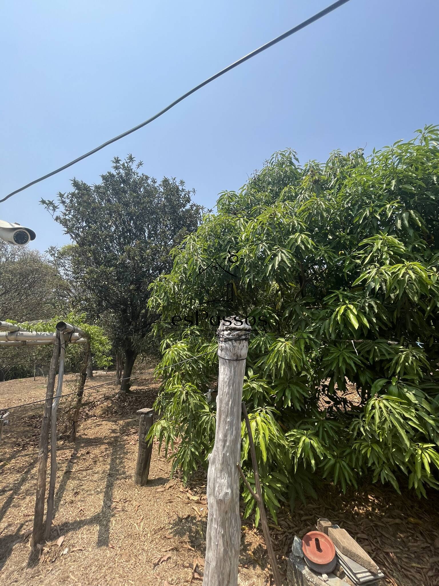 Terreno, 2 hectares - Foto 36