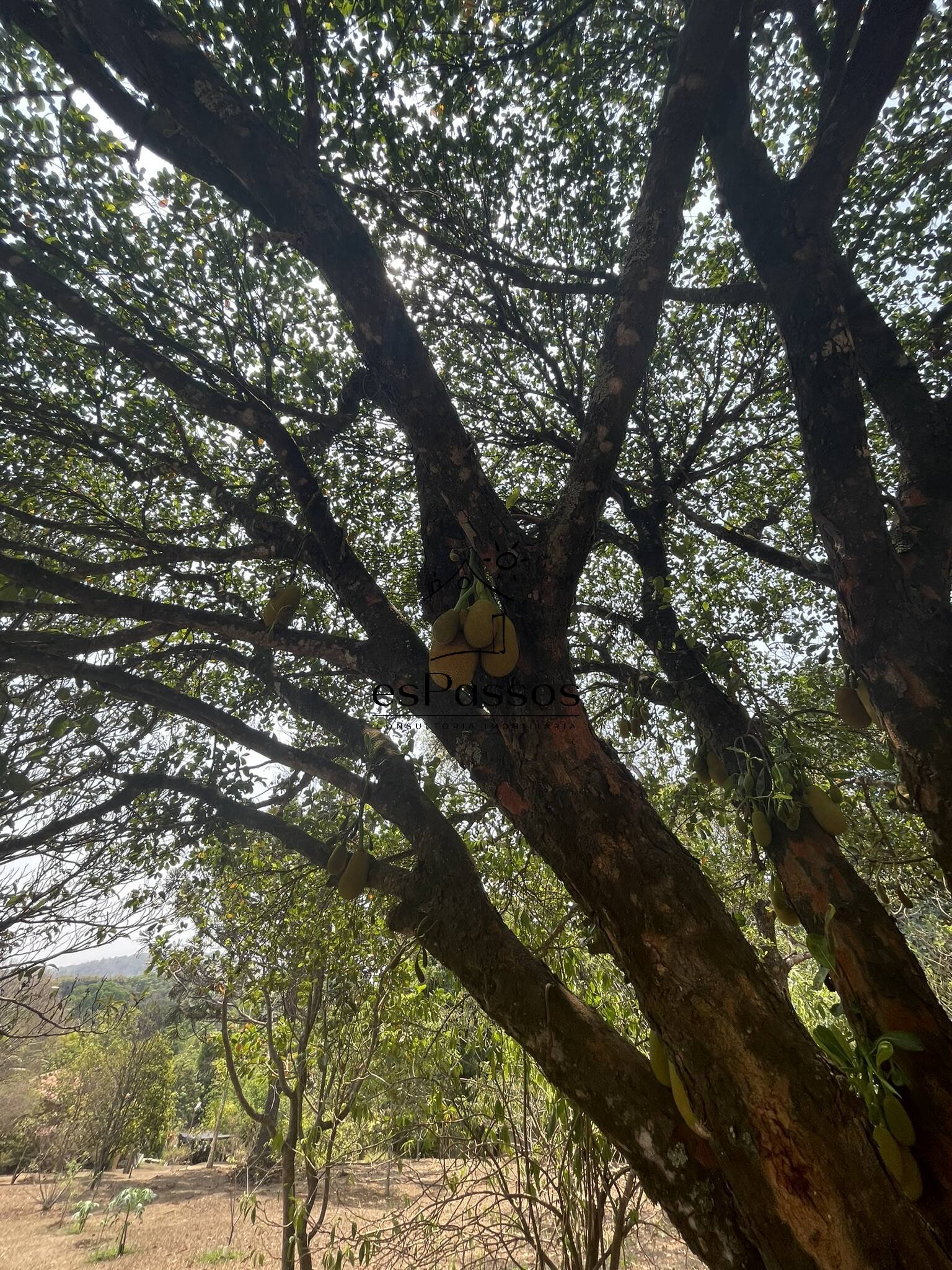 Terreno, 2 hectares - Foto 39