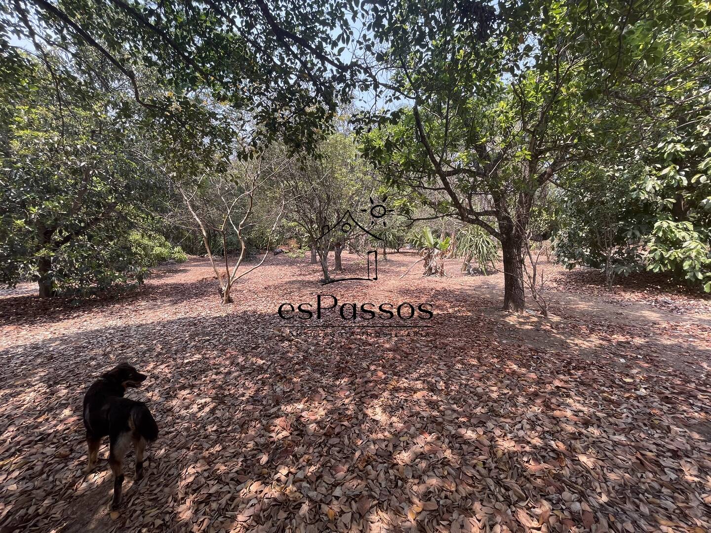 Terreno, 2 hectares - Foto 41