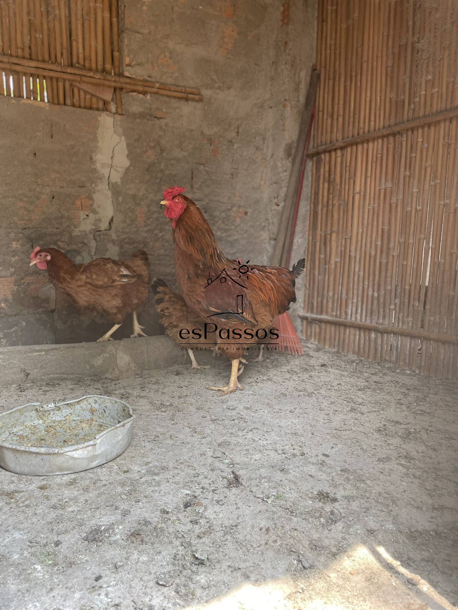 Terreno, 2 hectares - Foto 43