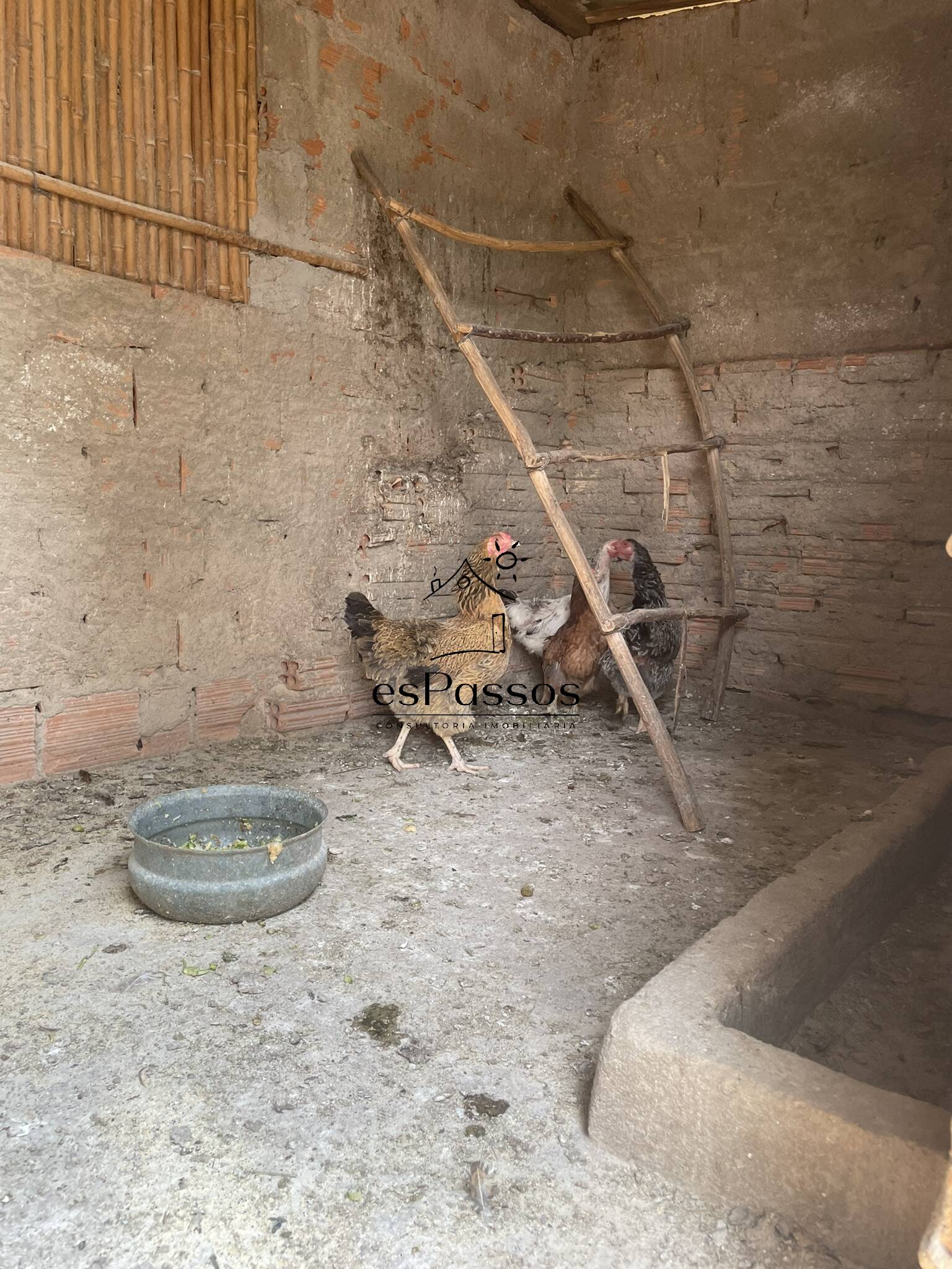 Terreno, 2 hectares - Foto 44