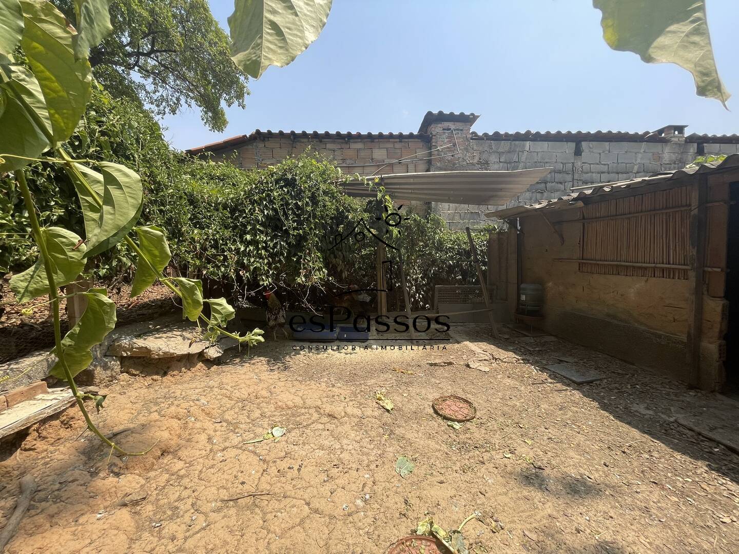 Terreno, 2 hectares - Foto 46