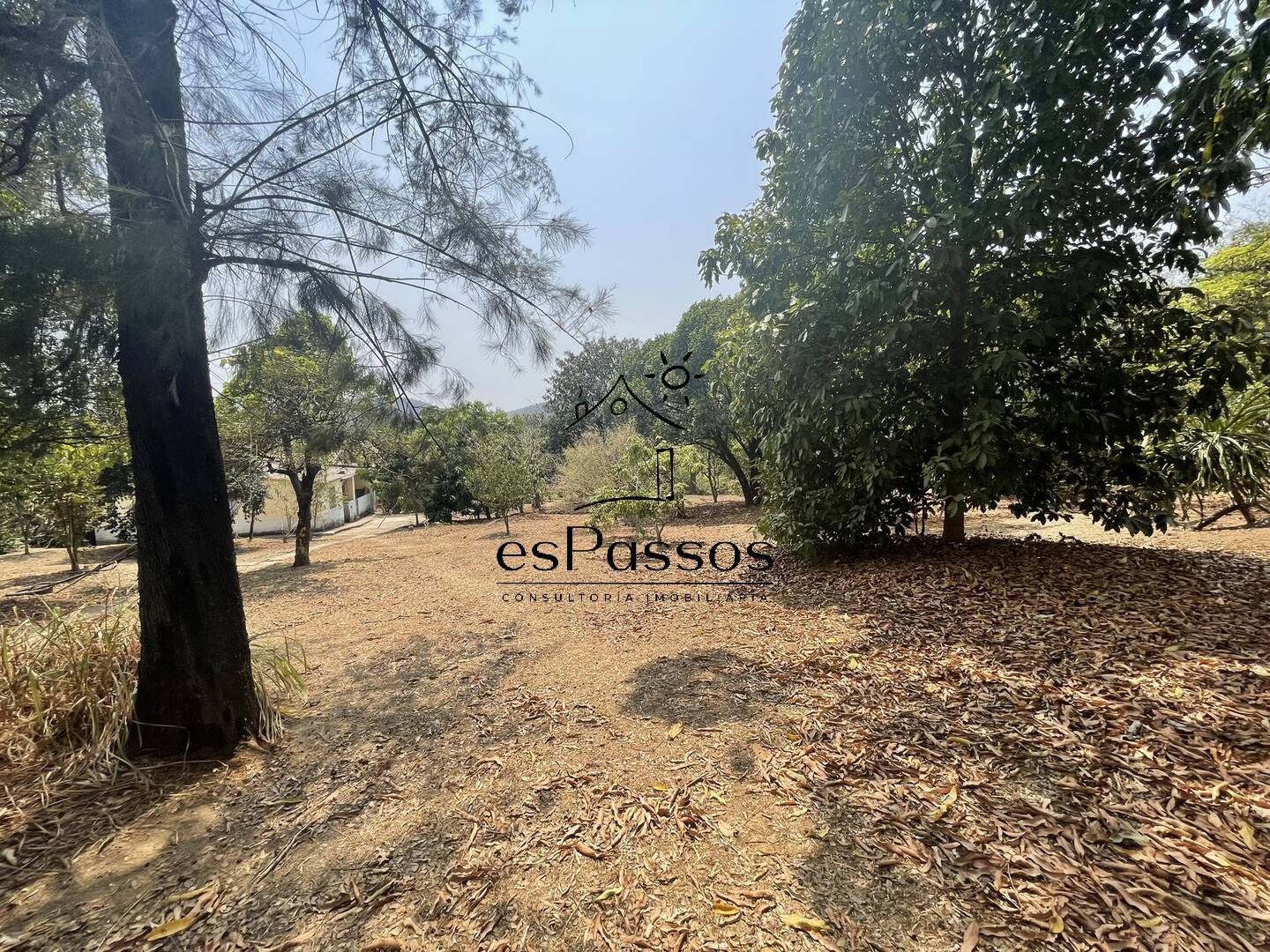 Terreno, 2 hectares - Foto 47