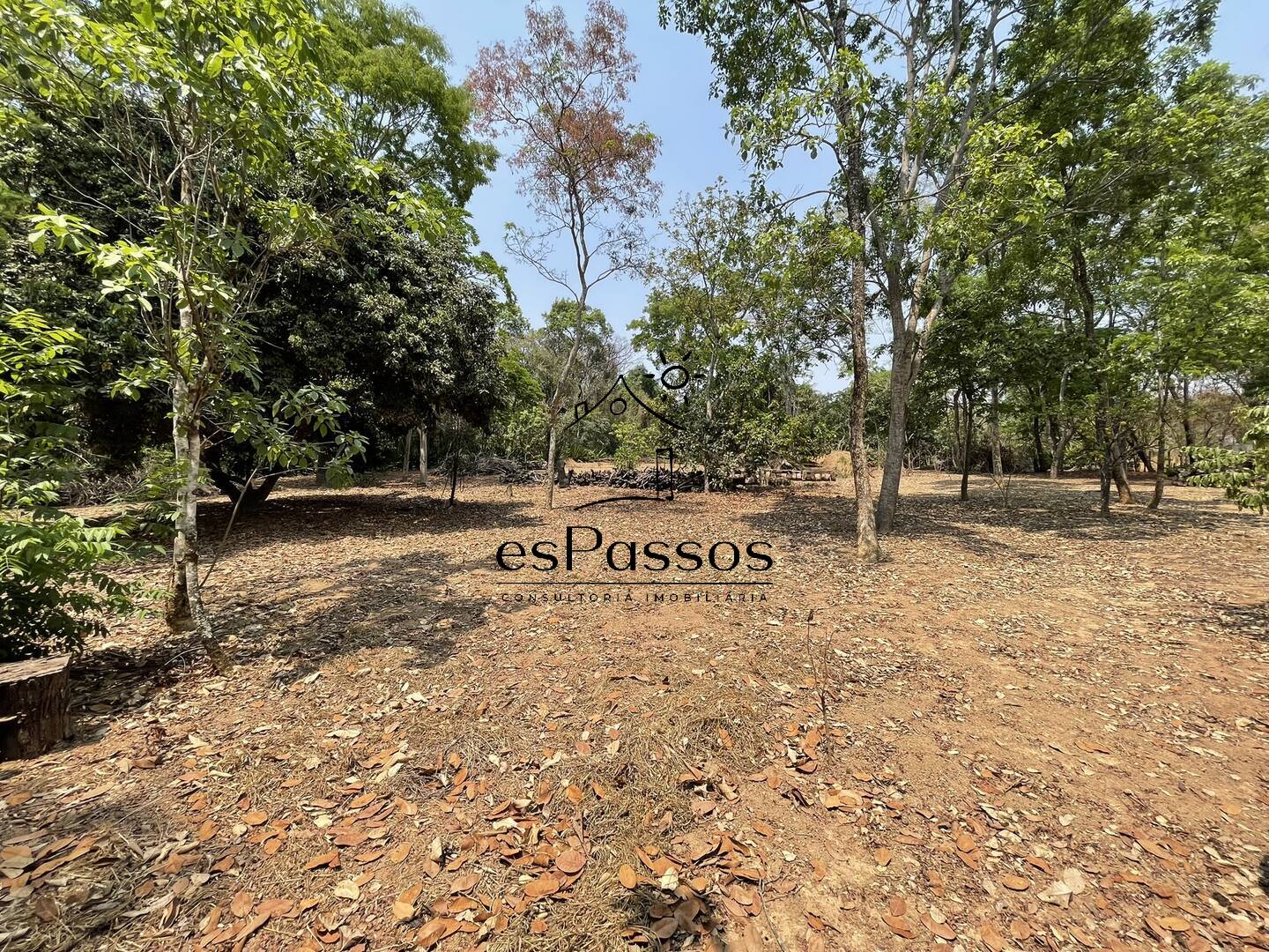 Terreno, 2 hectares - Foto 49