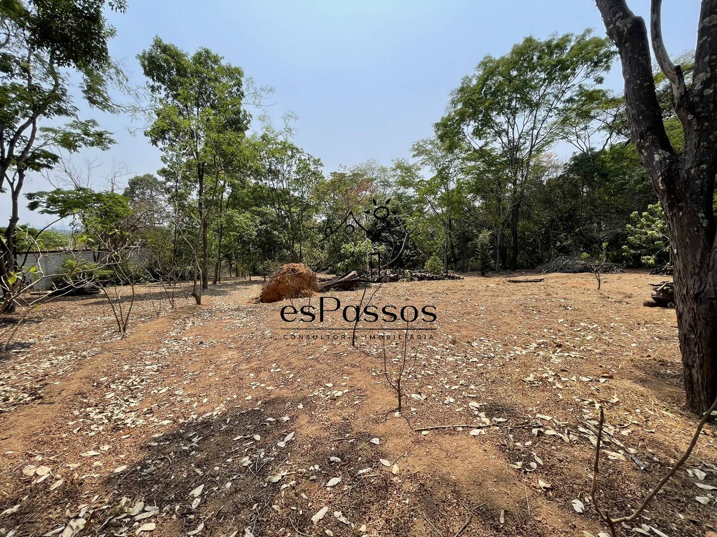 Terreno, 2 hectares - Foto 51