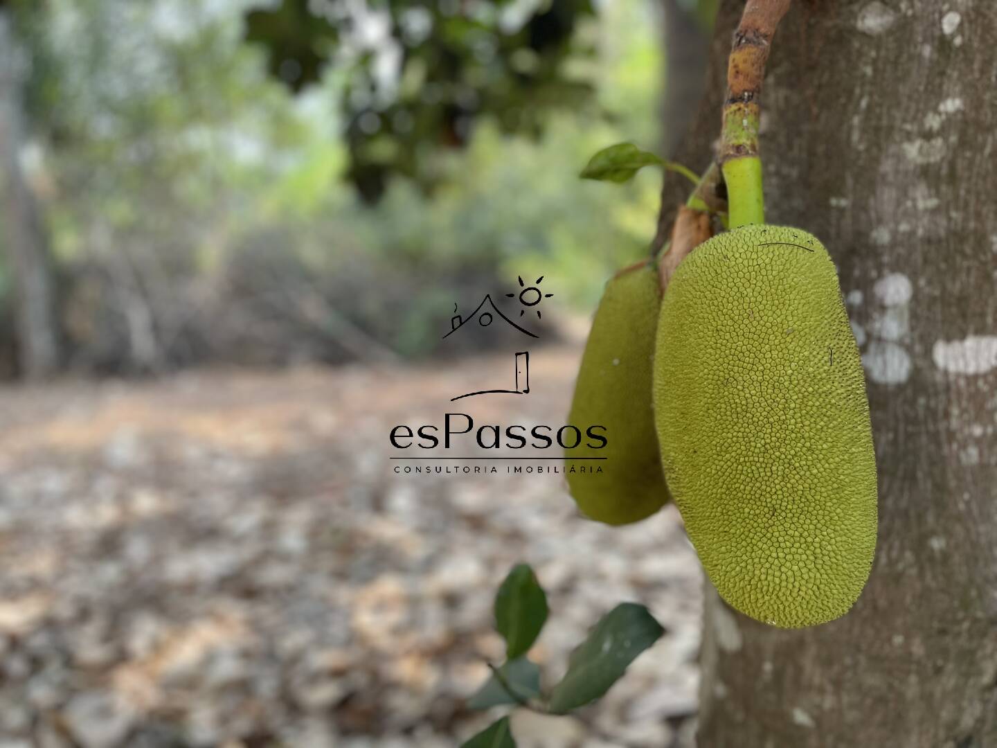 Terreno, 2 hectares - Foto 53