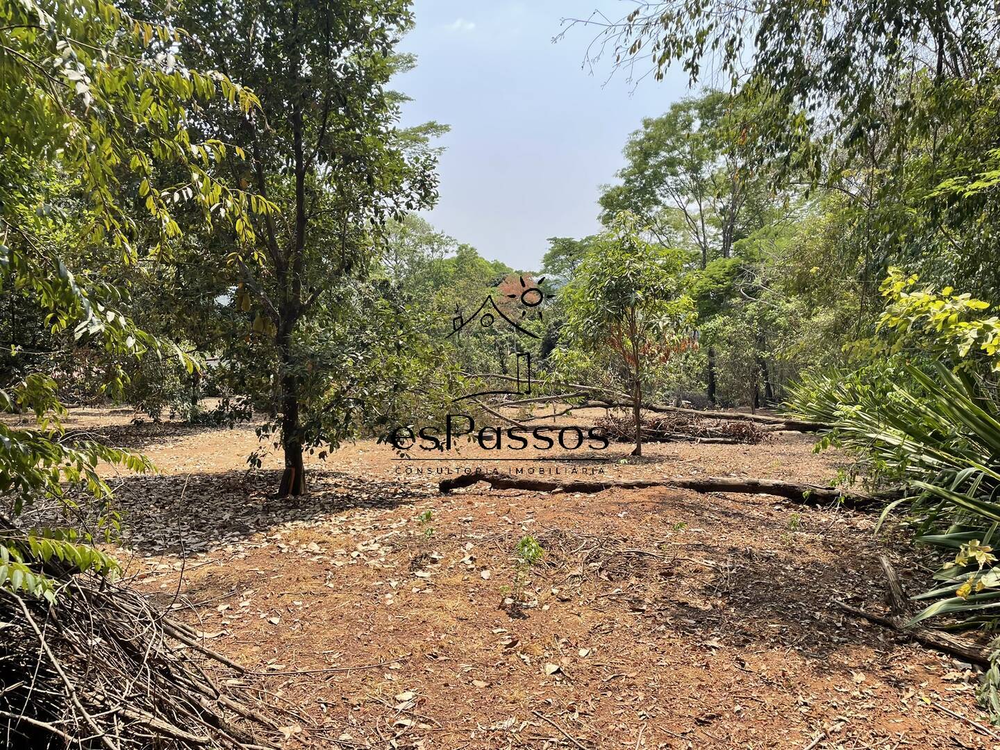 Terreno, 2 hectares - Foto 54