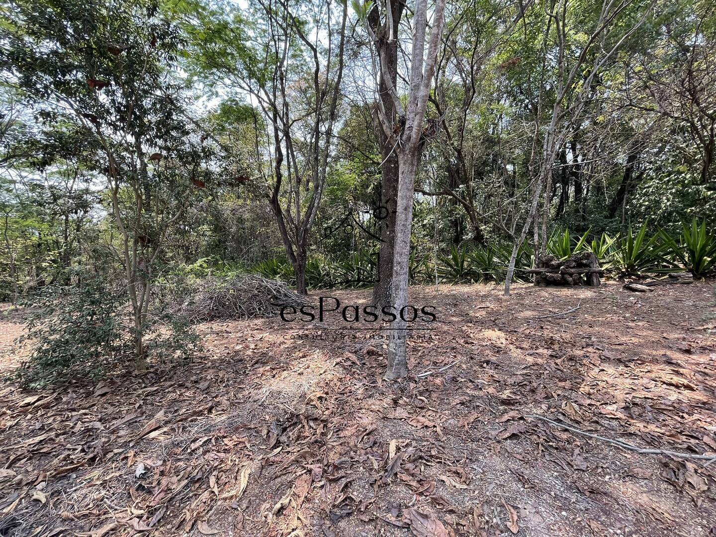 Terreno, 2 hectares - Foto 55