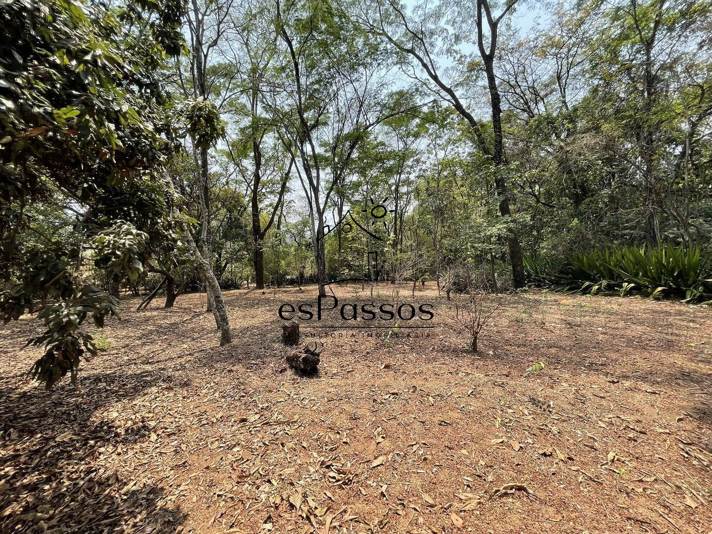 Terreno, 2 hectares - Foto 56