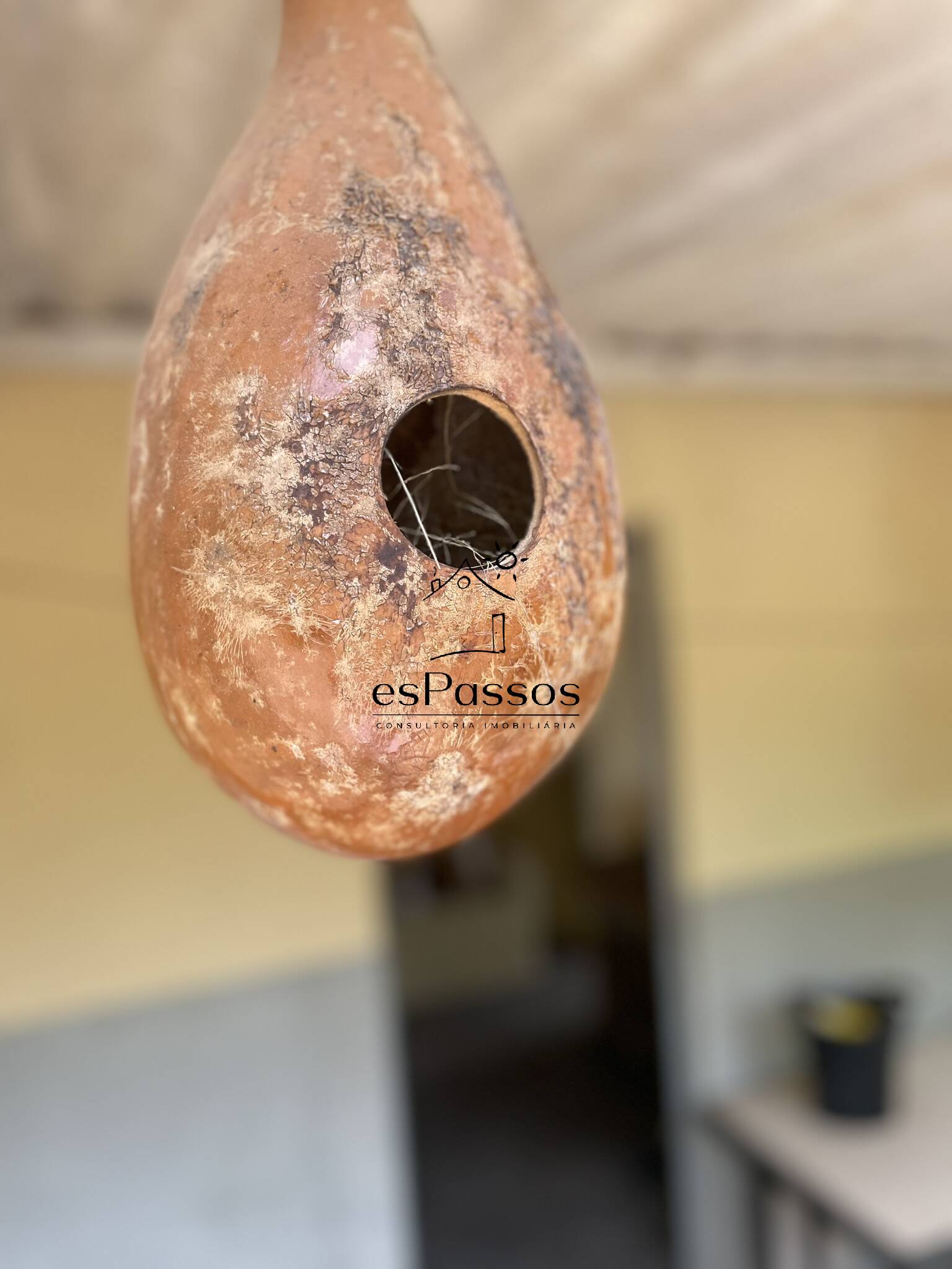 Terreno, 2 hectares - Foto 57