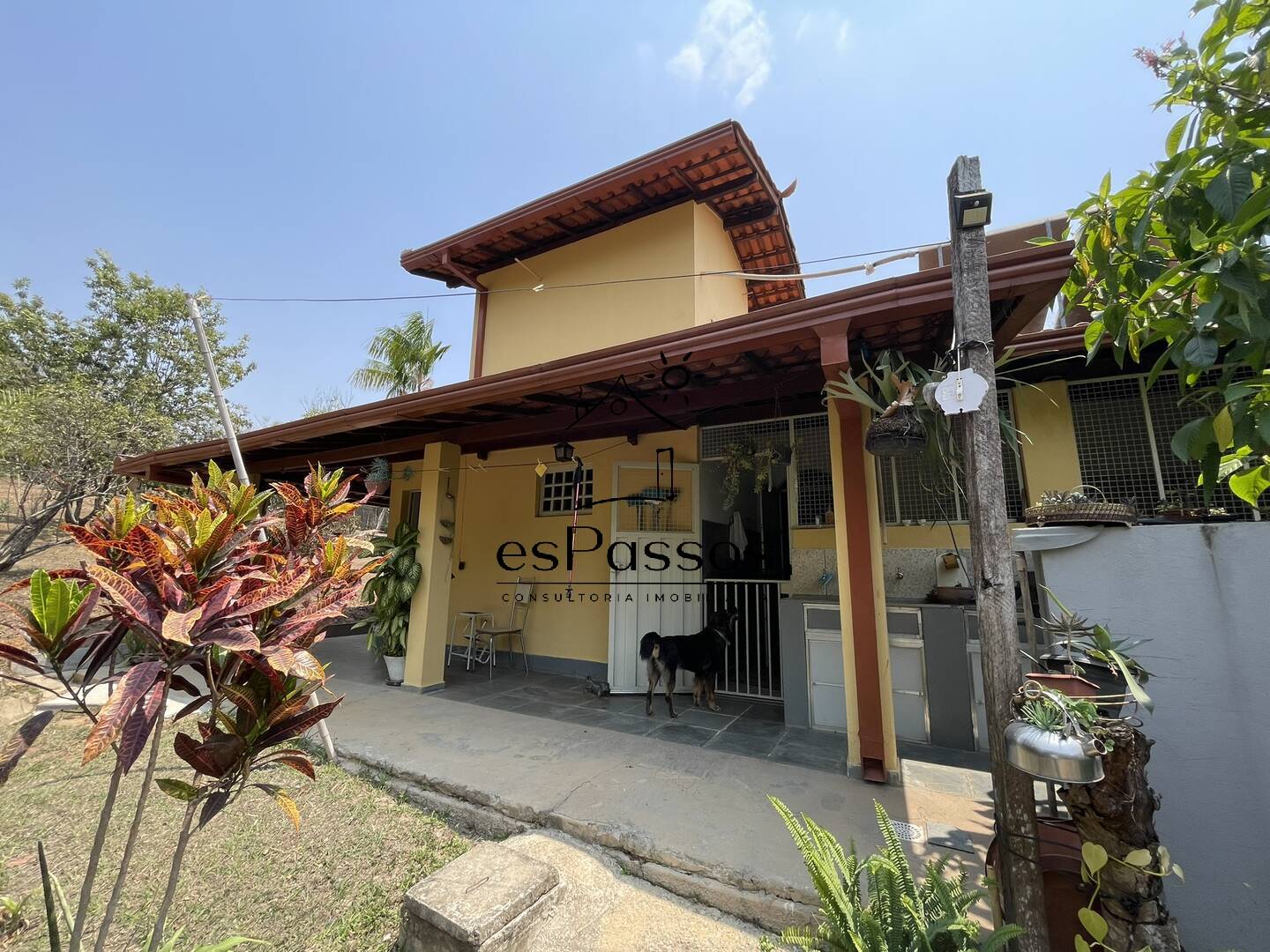 Terreno, 2 hectares - Foto 62